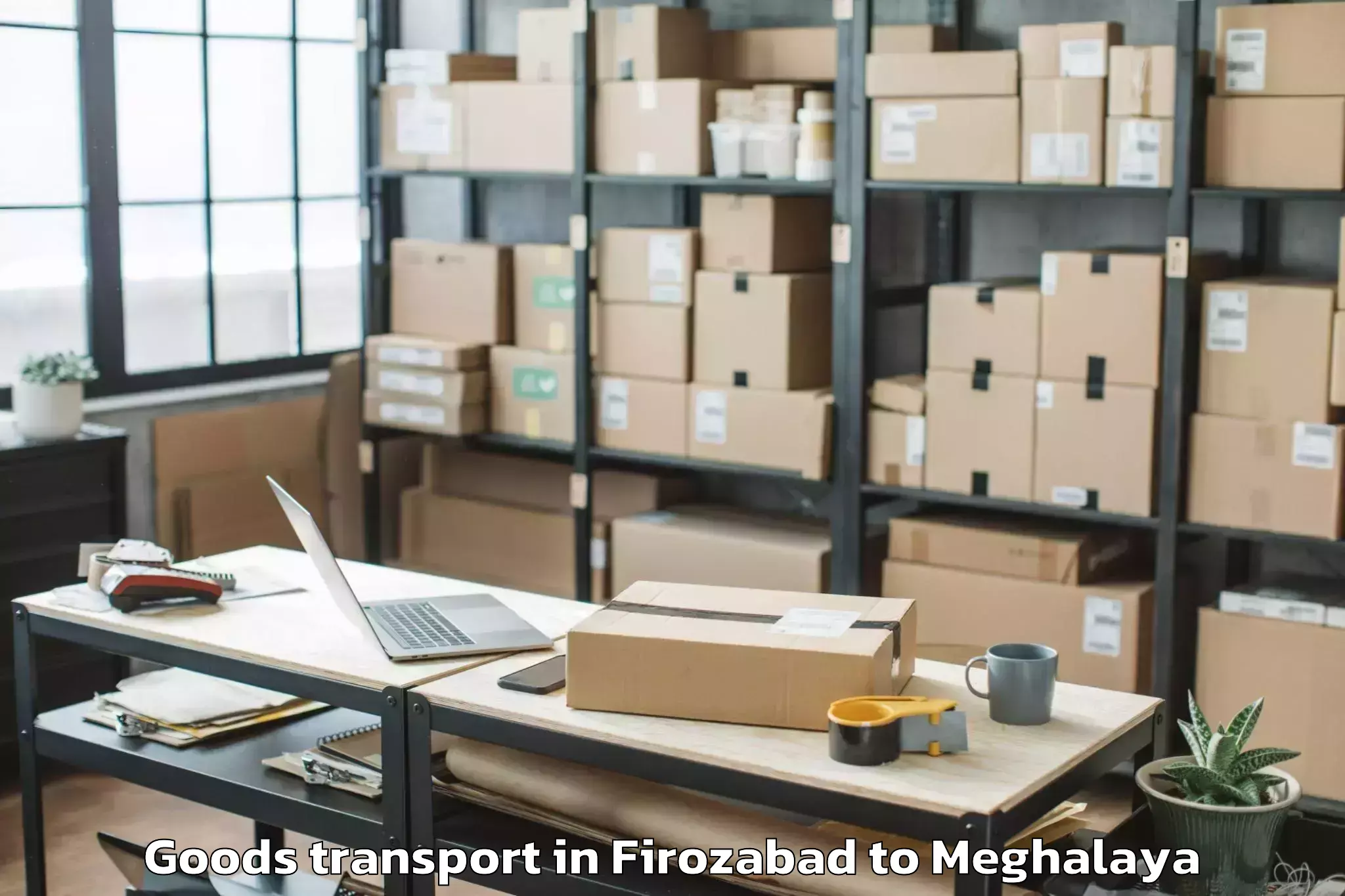 Top Firozabad to Ranikor Goods Transport Available